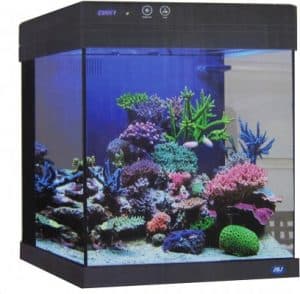 Cubey JBJ 20 Gallon Black Aquarium