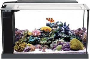 Fluval Evo 5 Saltwater Fish Tank