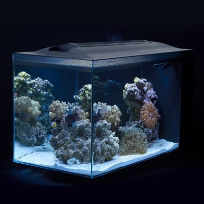 Best Nano Reef Tanks To Hunt For In 2023 And Beyond!