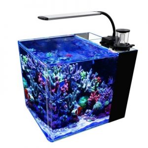 GankPike 8-Gallon Saltwater Aquarium Marine Fish Tank Reef Tank