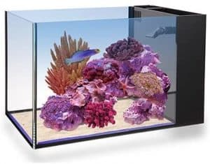 Innovative Marine Nuvo Fusion PRO Series