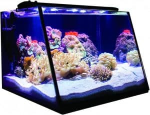 Lifegard Aquatics Full-View 5 Gallon Aquarium