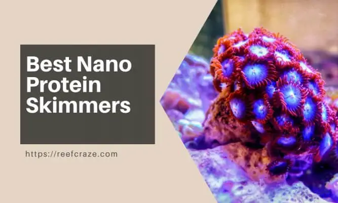 Best Nano Protein Skimmers: The Only Guide You’ll Ever Need!
