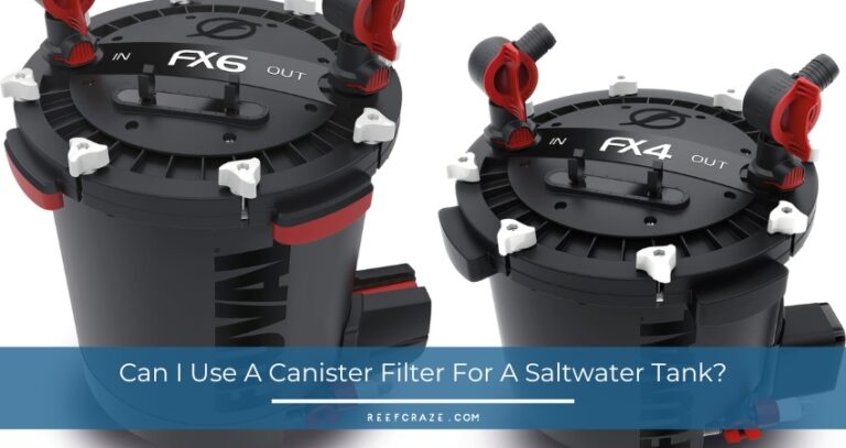 Can I Use A Canister Filter For A Saltwater Tank?