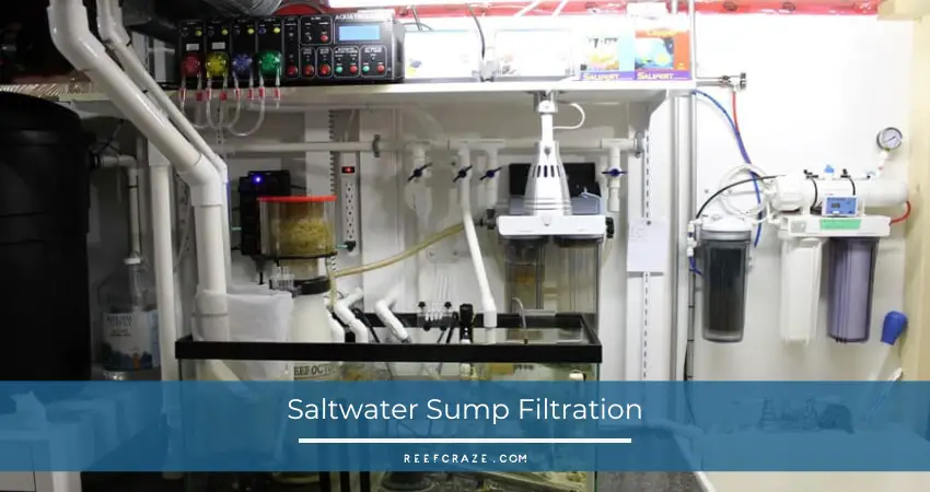 Saltwater-Sump-Filtration