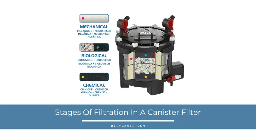 Stages of filtration in a canister filter
