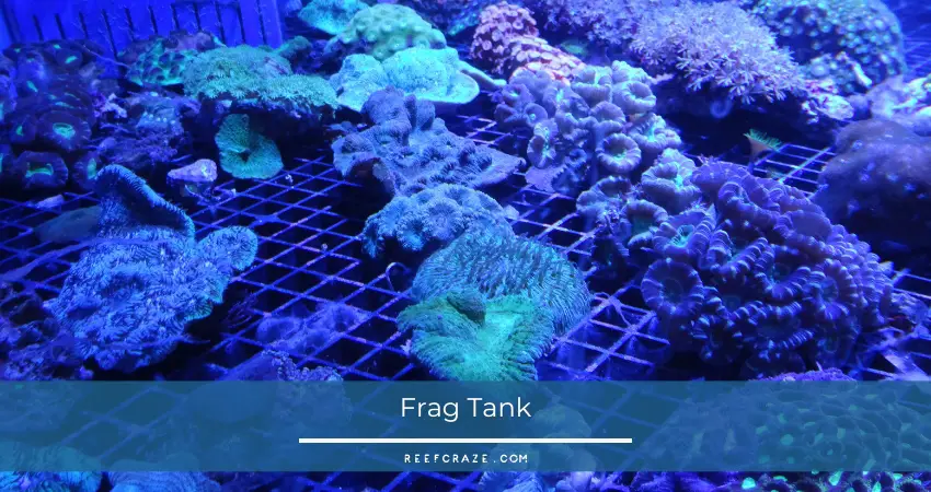 Frag Tank