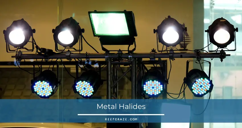 Metal Halides
