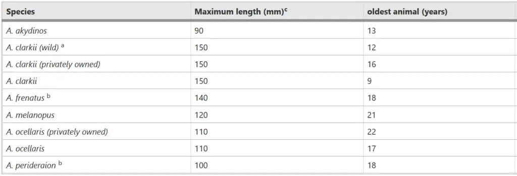 How Long Do Clownfish Live: [Lifespan In Captivity Vs. Wild]